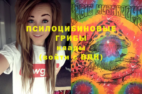 ALPHA PVP Алзамай