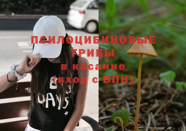 ALPHA PVP Алзамай
