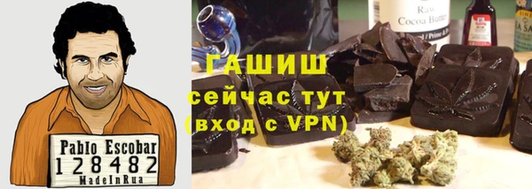 мет Алексин
