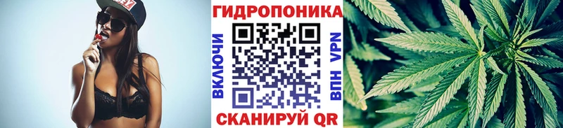 Конопля Amnesia  Тобольск 